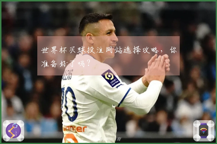 世界杯买球投注网站选择攻略，你准备好了吗？