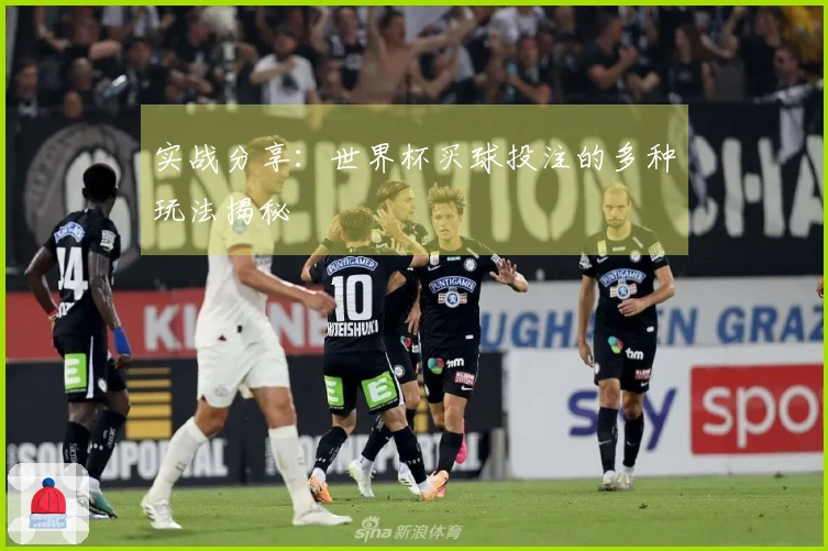 实战分享：世界杯买球投注的多种玩法揭秘