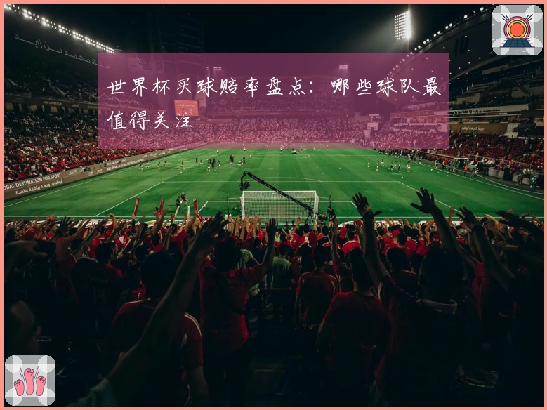 世界杯买球赔率盘点：哪些球队最值得关注