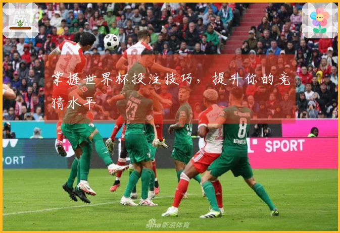 掌握世界杯投注技巧,提升你的竞猜水平