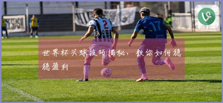 世界杯买球技巧揭秘，教你如何稳稳盈利