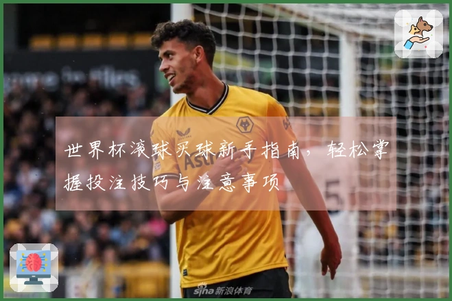世界杯滚球买球新手指南，轻松掌握投注技巧与注意事项