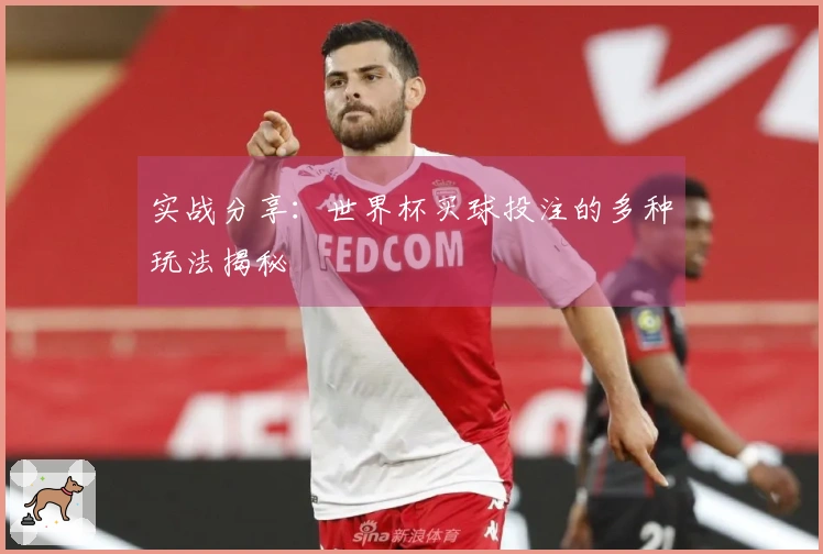 实战分享：世界杯买球投注的多种玩法揭秘