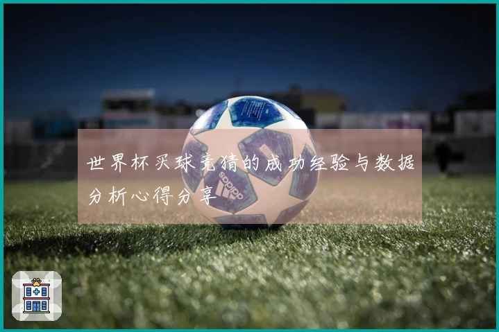 世界杯买球竞猜的成功经验与数据分析心得分享
