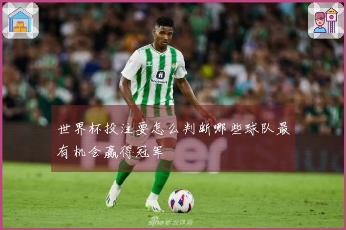 世界杯投注要怎么判断哪些球队最有机会赢得冠军