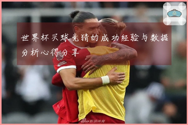 世界杯买球竞猜的成功经验与数据分析心得分享