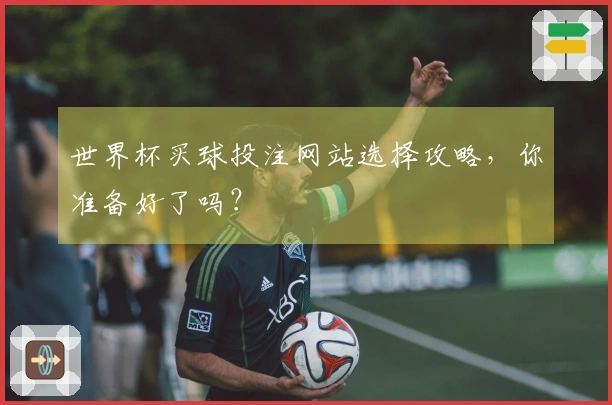 世界杯买球投注网站选择攻略，你准备好了吗？